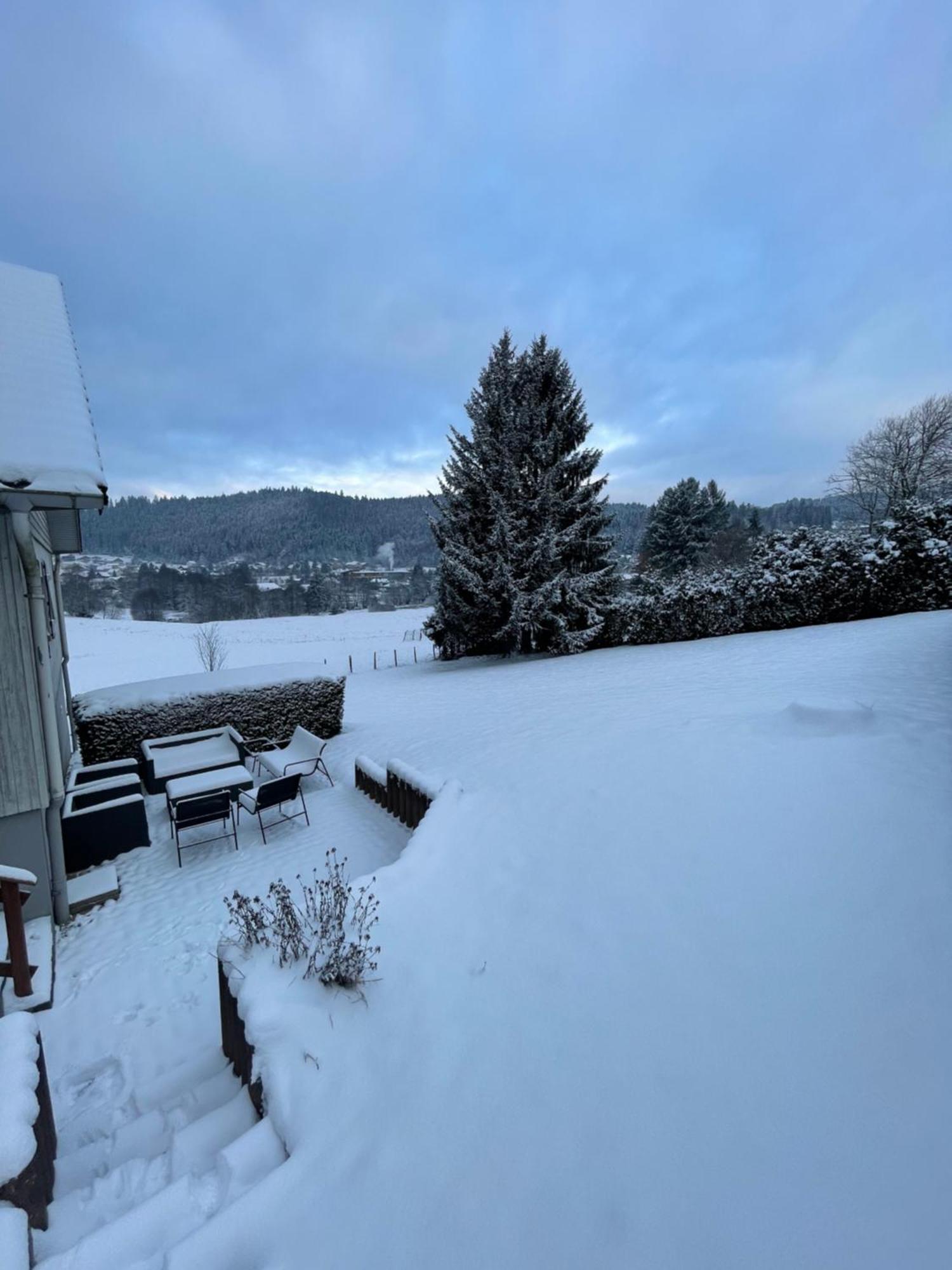 Chalet Le Cedre Bleu 10 P - 10 Min De Gerardmer Le Tholy Exterior photo